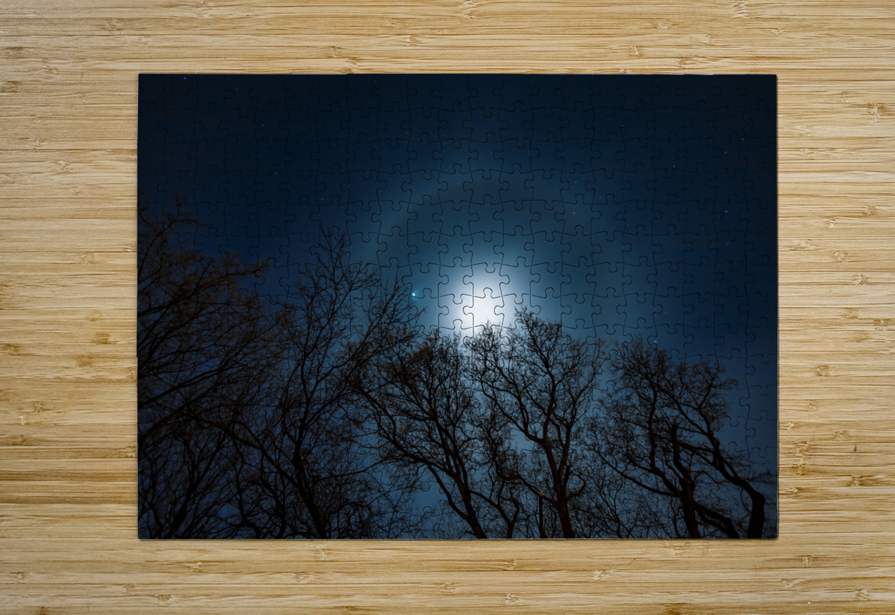 Moon Halo Above the Canopy Marc Gilbert Photography Puzzle printing