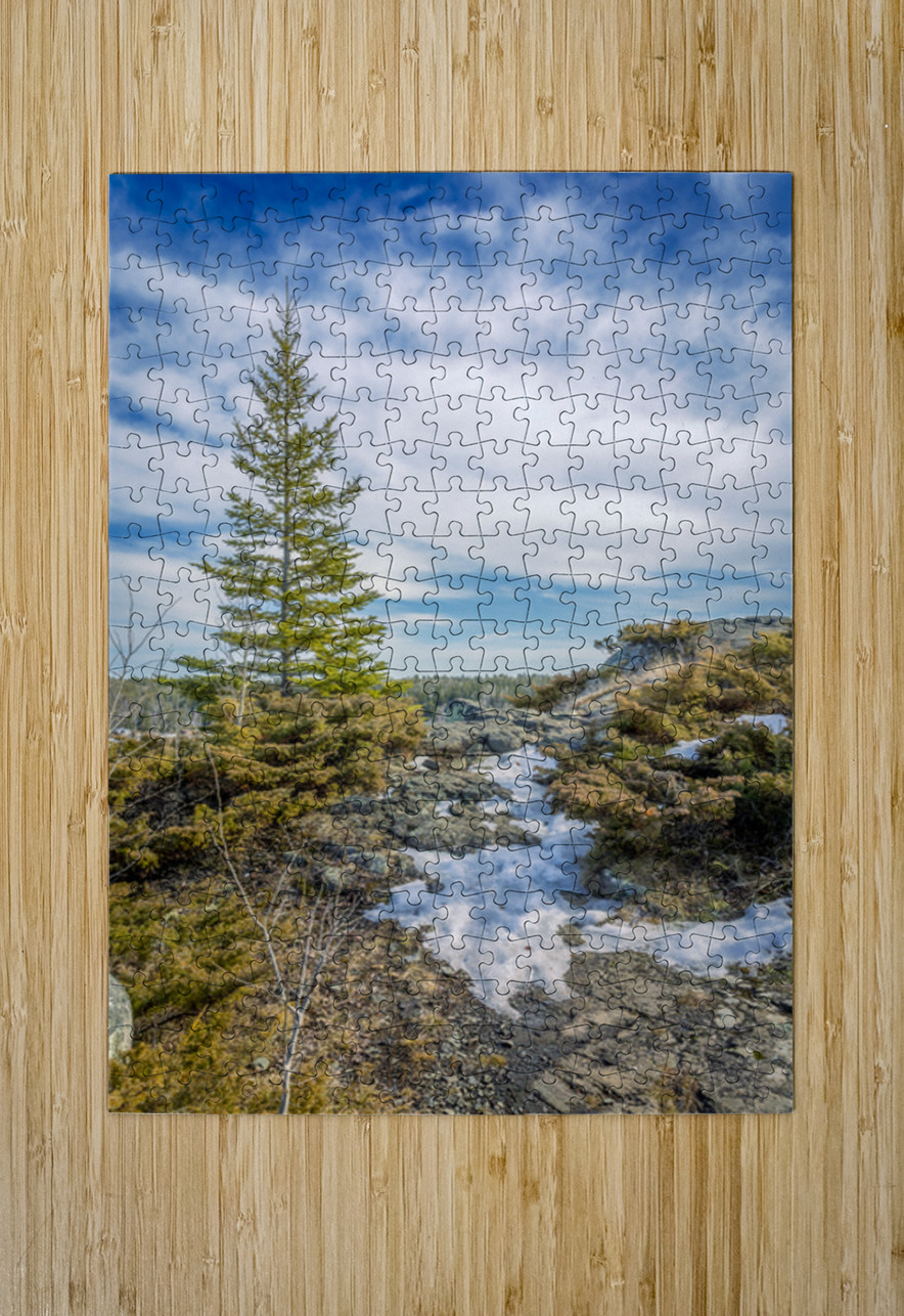 Dragon Fire Trail Marc Gilbert Photography Puzzle printing