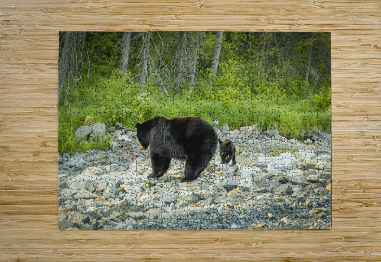 Mama Bear and its Cub Marc Gilbert Photography Puzzle printing