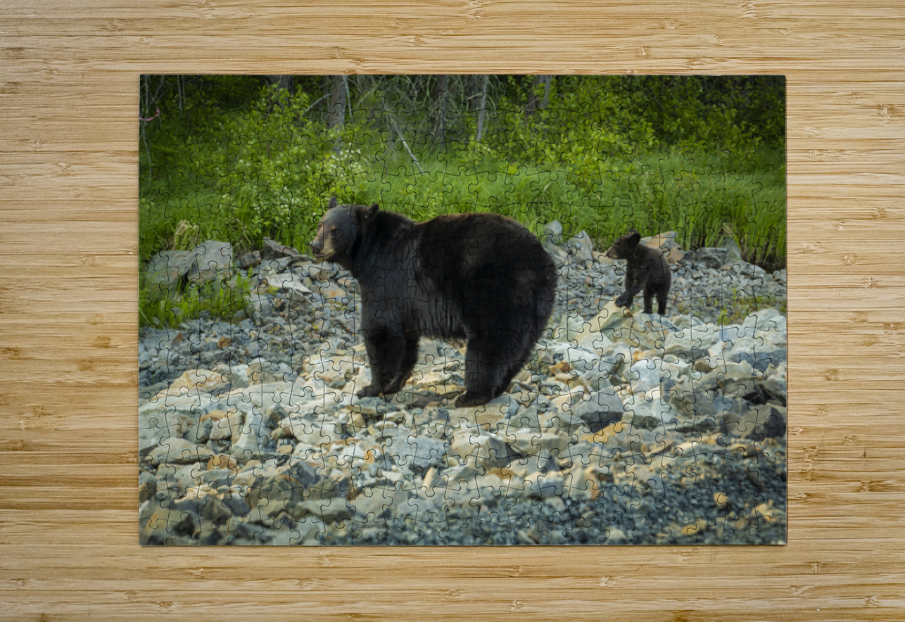 Mama Bear and its Cub Marc Gilbert Photography Puzzle printing