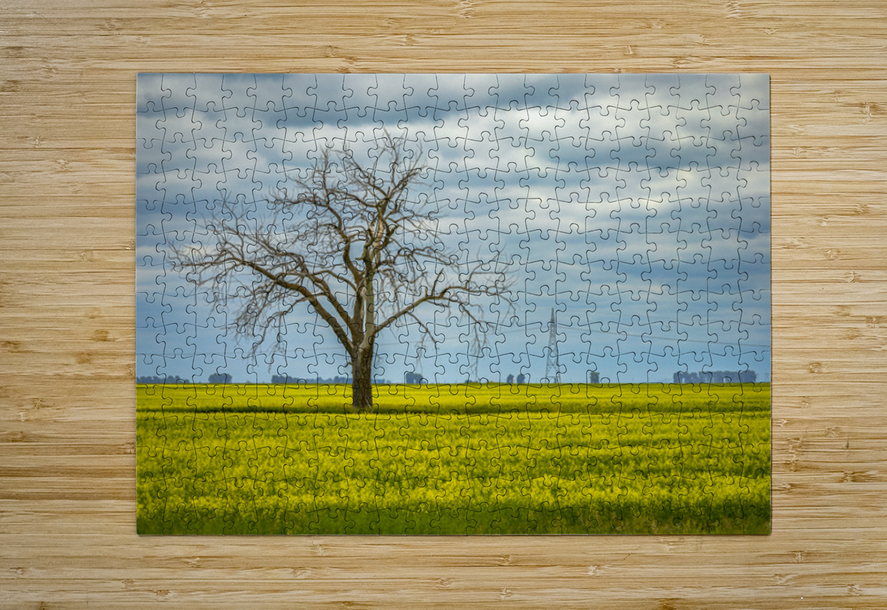 Solitude in Yellow Marc Gilbert Photography Puzzle printing
