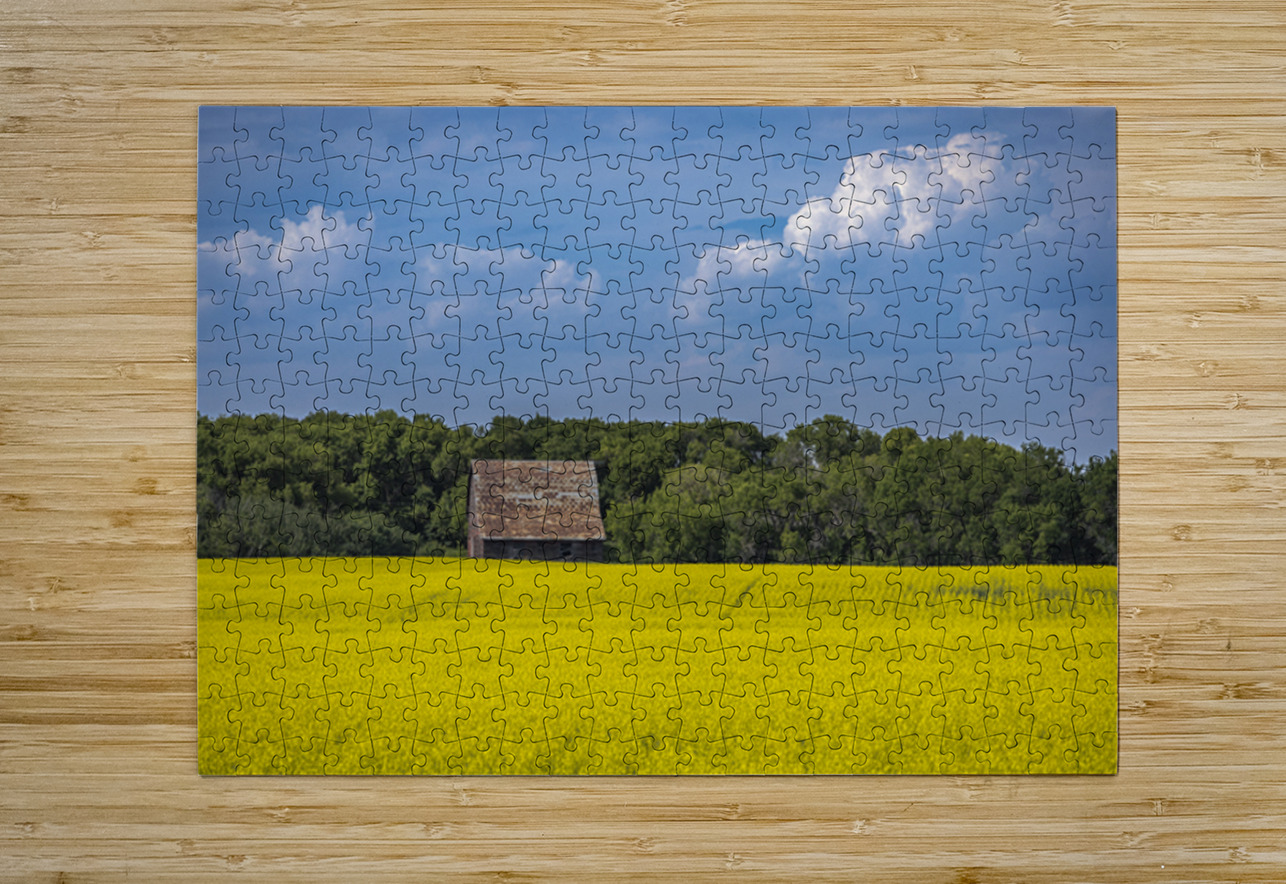 Old Barn and Canola Field Marc Gilbert Photography Puzzle printing