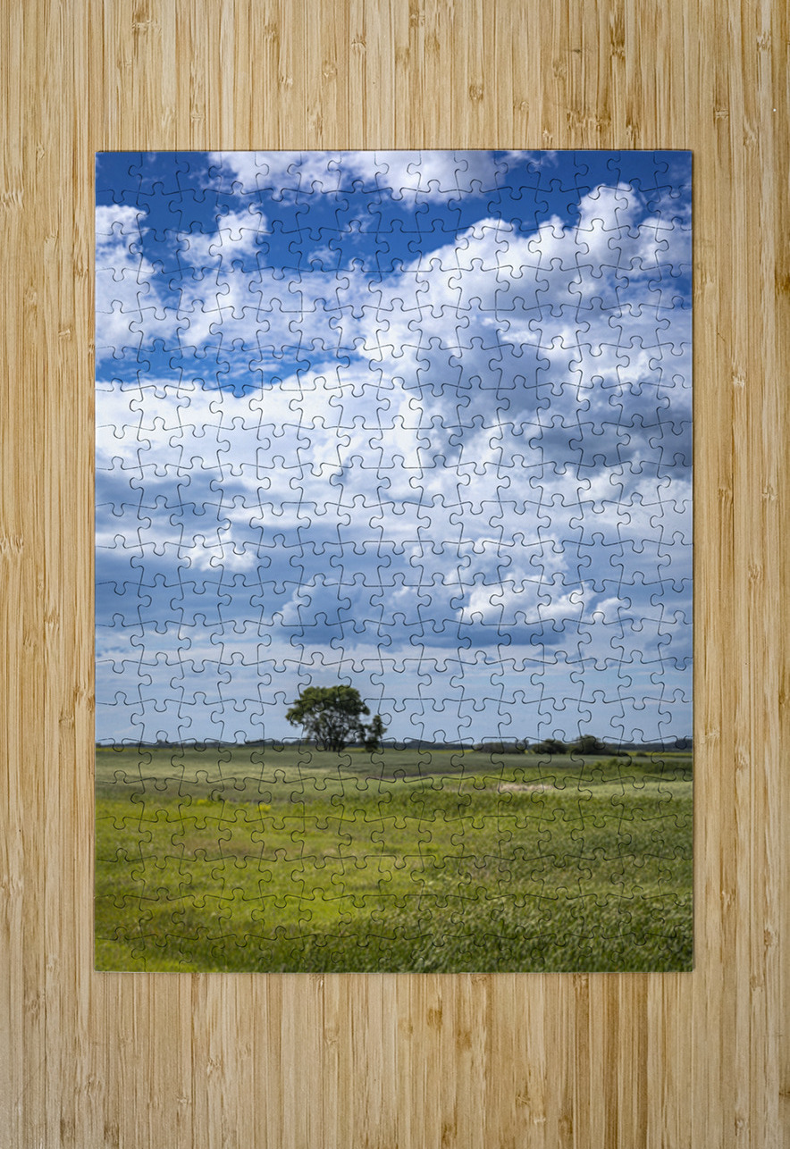 Lone Tree on a Cloudy Day Marc Gilbert Photography Puzzle printing