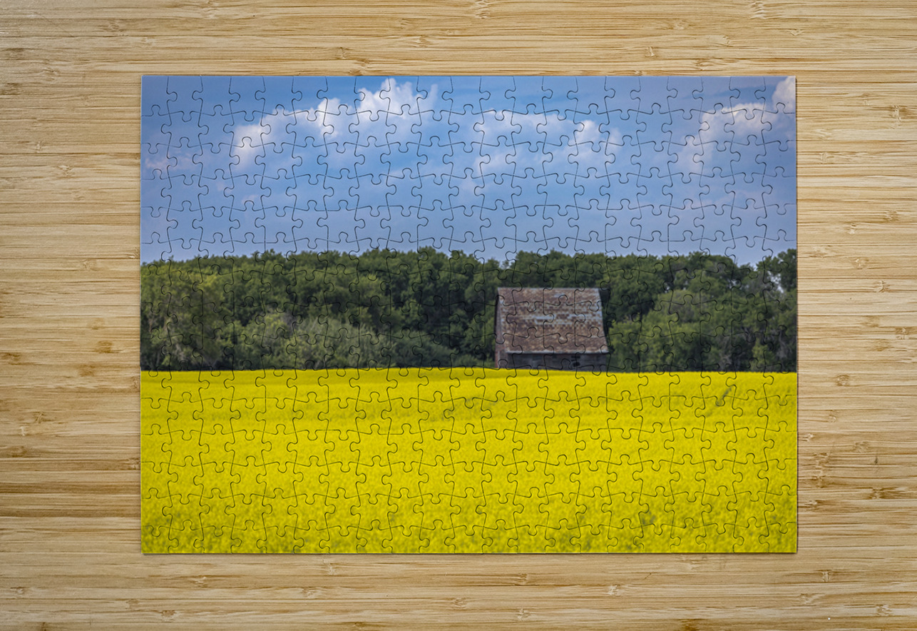 Old Barn and Canola Field Marc Gilbert Photography Puzzle printing