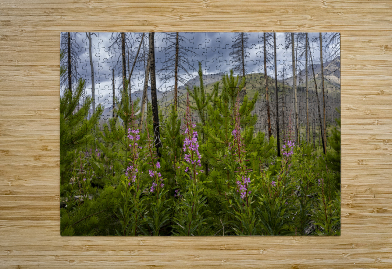 New Life Marc Gilbert Photography Puzzle printing