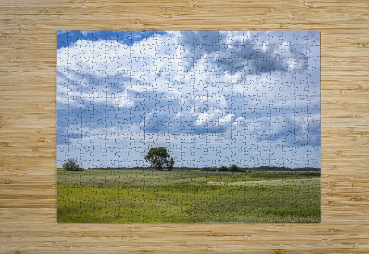 Lone Tree and Cloudy Sky Marc Gilbert Photography Puzzle printing