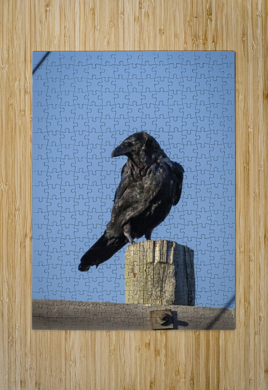 Raven on a Post Marc Gilbert Photography Puzzle printing