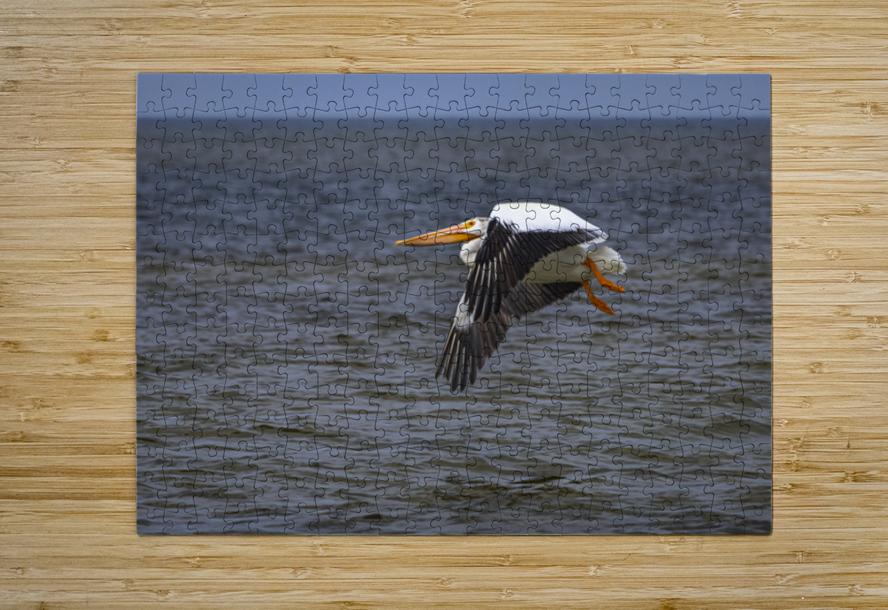 Pelican in Flight Marc Gilbert Photography Puzzle printing