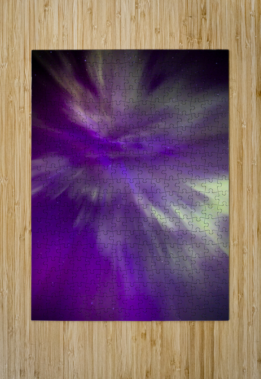 Night Bloom Marc Gilbert Photography Puzzle printing