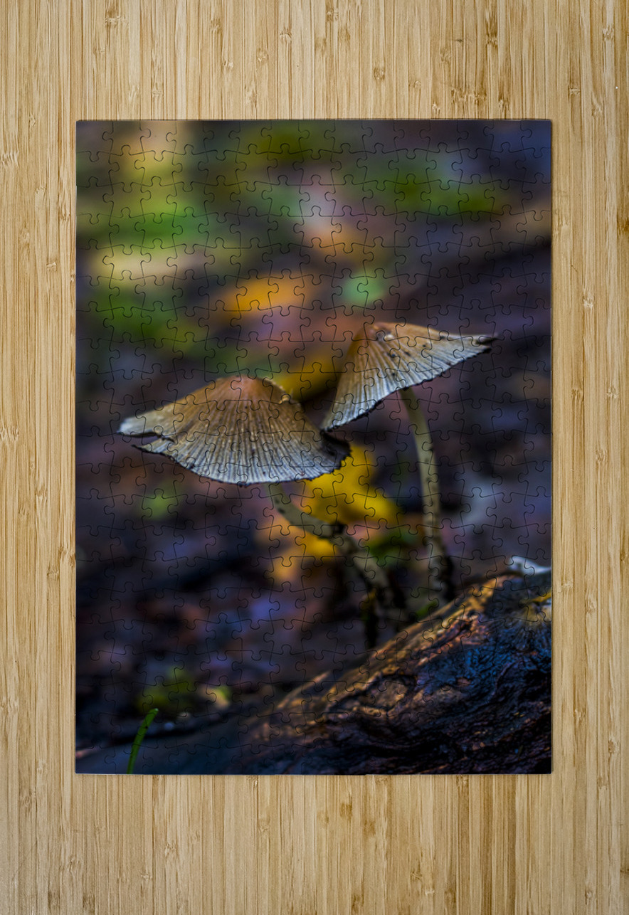 Witchy Mushrooms Marc Gilbert Photography Puzzle printing