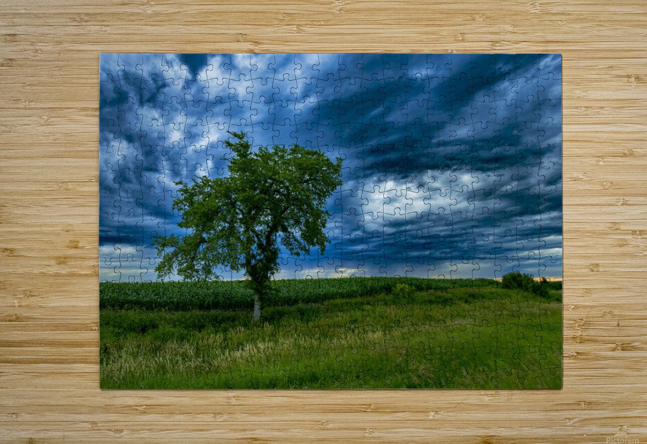 Lone Tree After the Storm Marc Gilbert Photography Puzzle printing