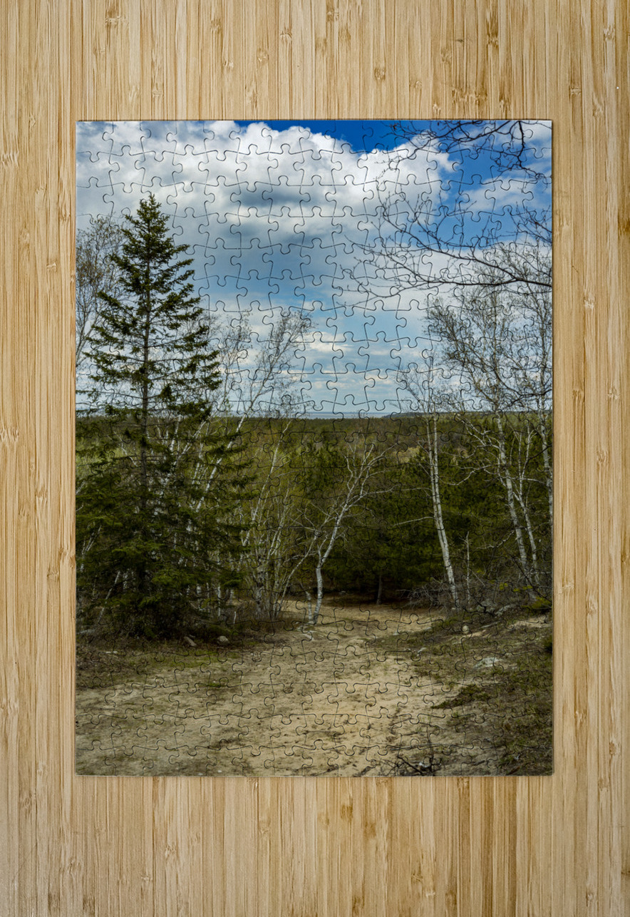 Ancient Beach Trail Marc Gilbert Photography Puzzle printing