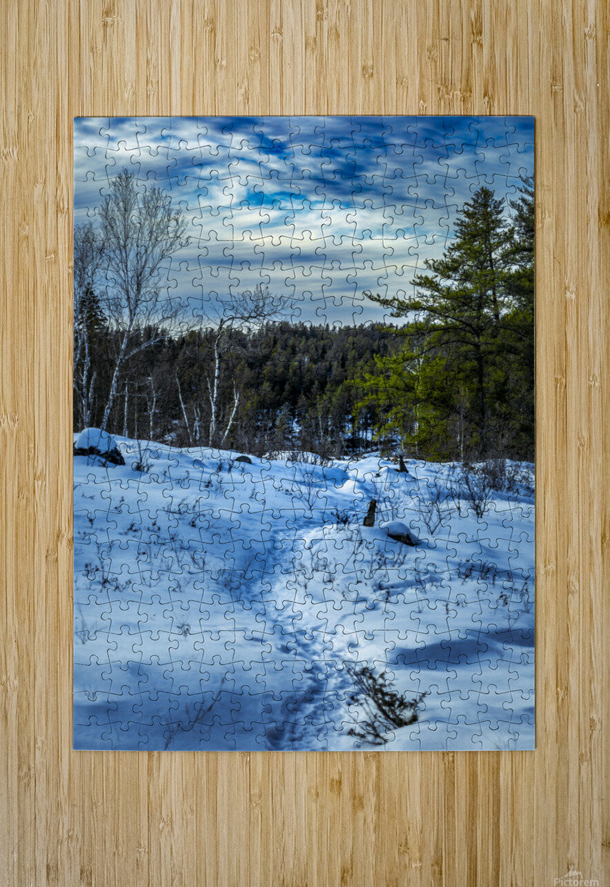 Winter Trail Marc Gilbert Photography Puzzle printing