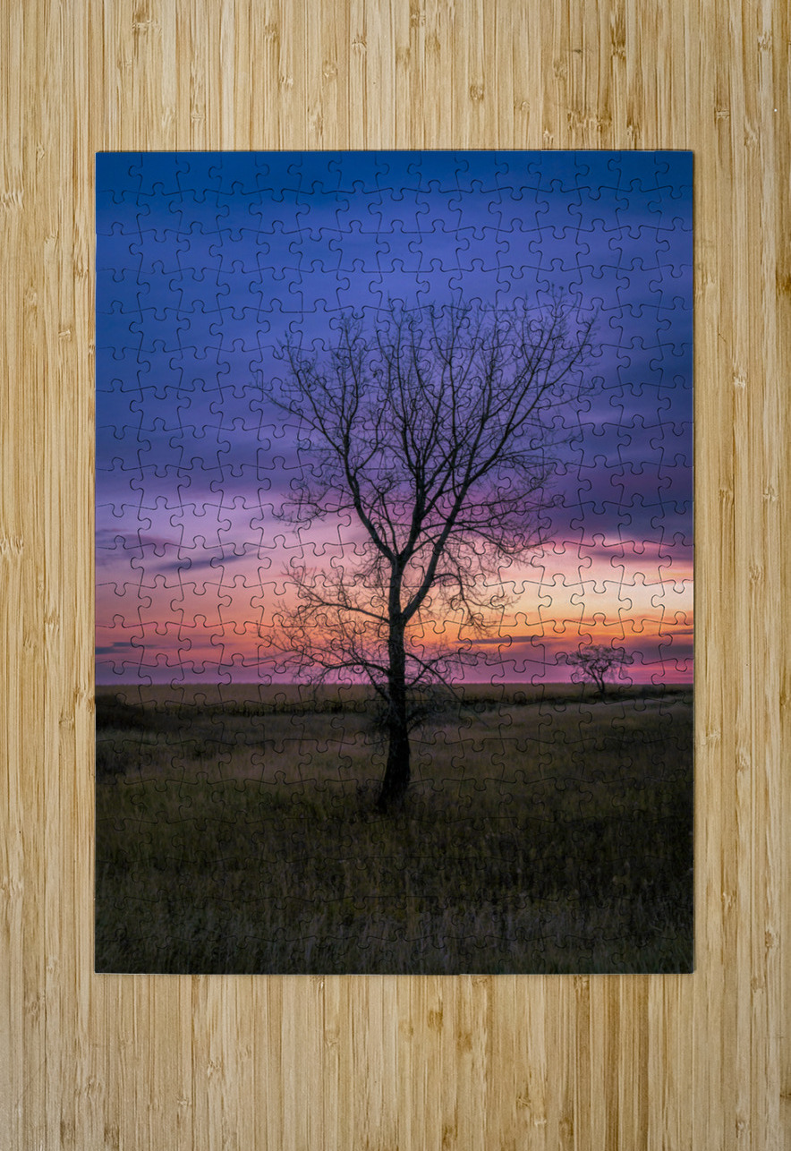 Lone Tree at Sunrise Marc Gilbert Photography Puzzle printing