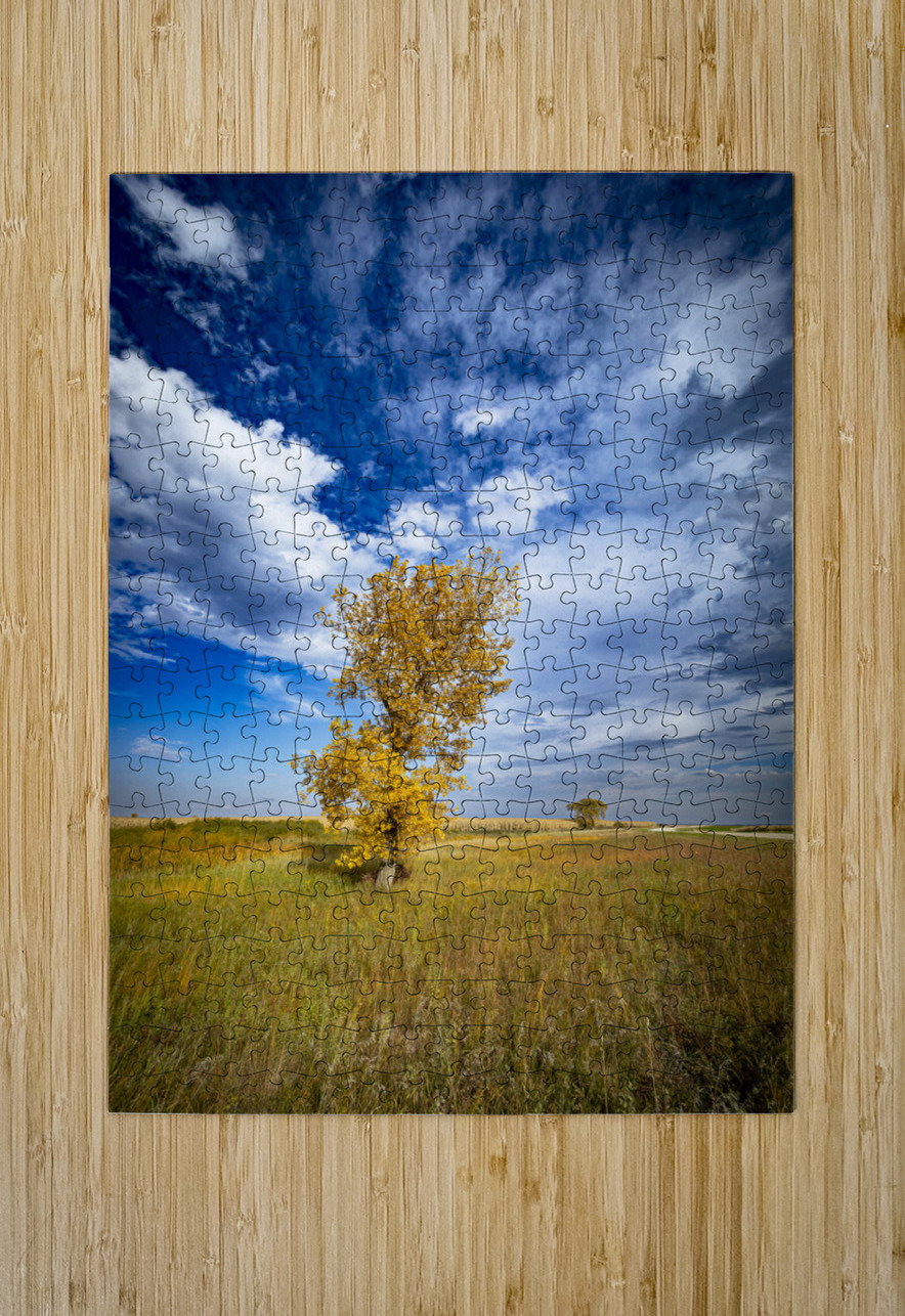 Lone Trees in the Fall Marc Gilbert Photography Puzzle printing