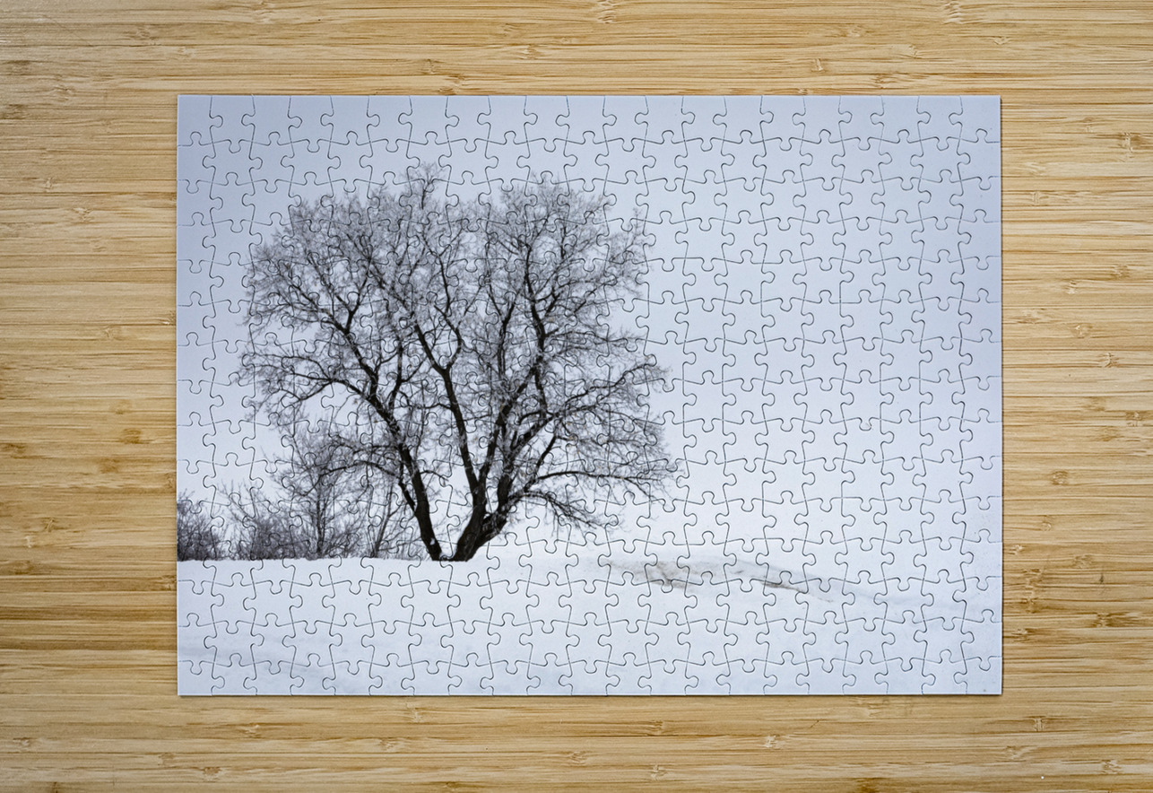 Lone Tree in Hoarfrost Marc Gilbert Photography Puzzle printing