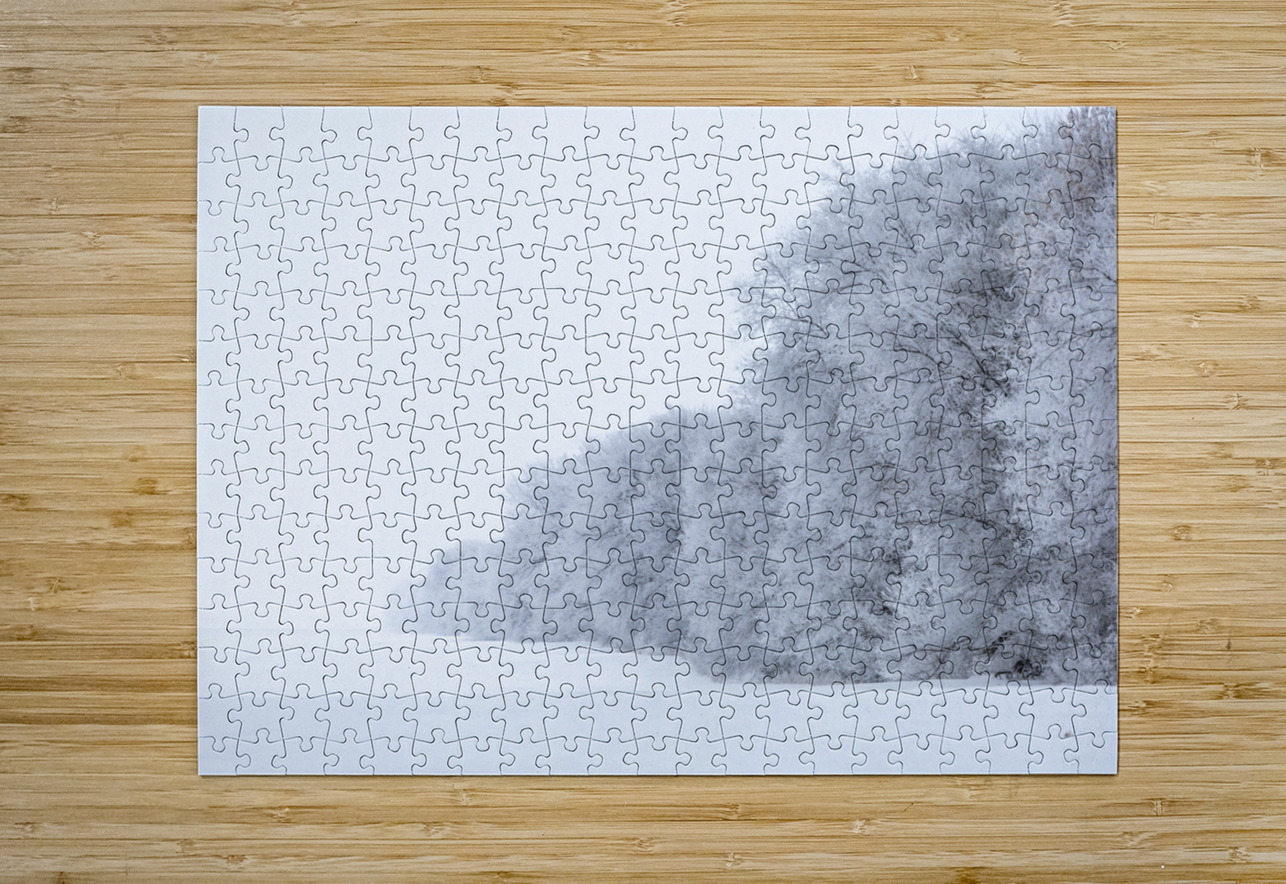 Tree Row in Hoarfrost Marc Gilbert Photography Puzzle printing