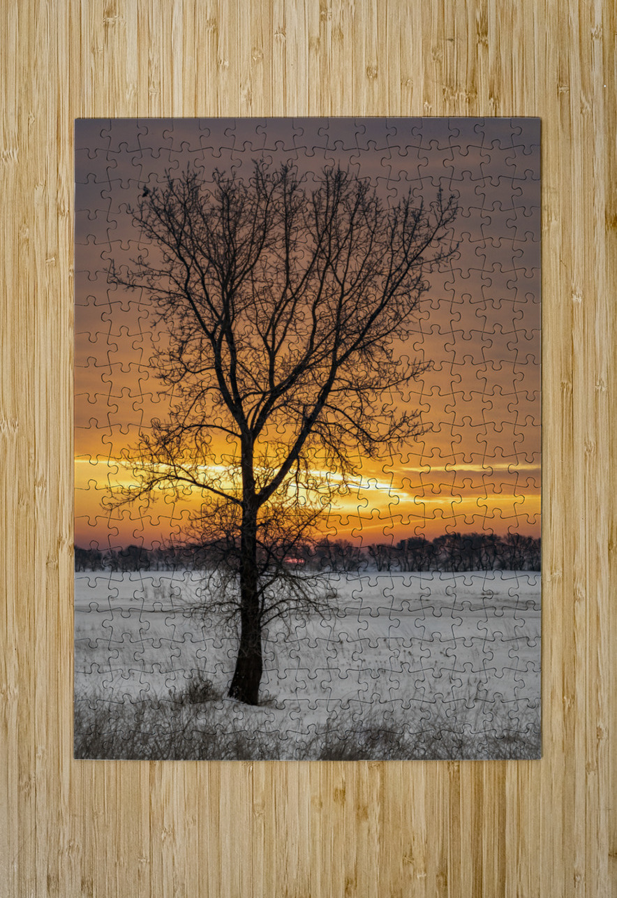 Lone Tree at Sunrise Marc Gilbert Photography Puzzle printing