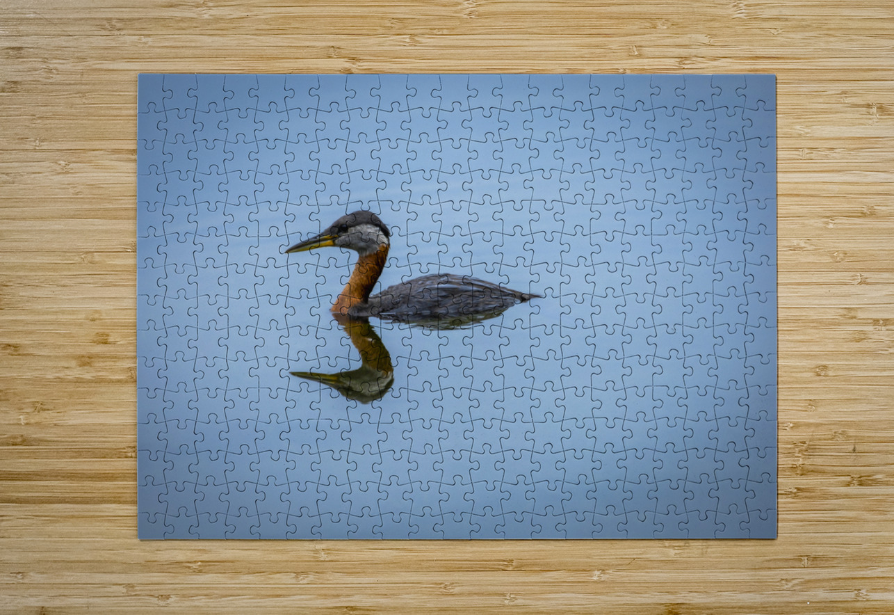 Duck Reflection Marc Gilbert Photography Puzzle printing