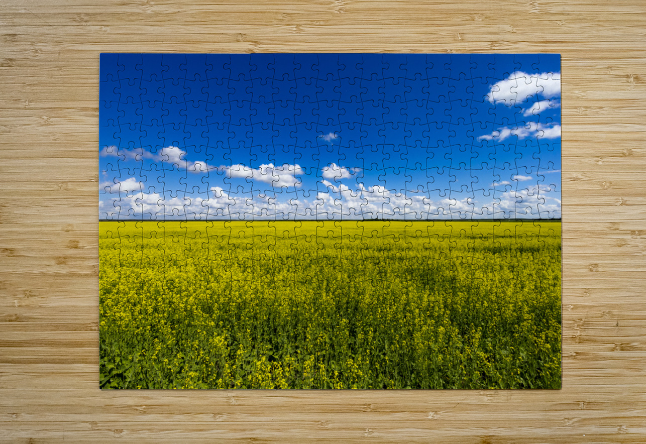 Blue and Yellow Marc Gilbert Photography Puzzle printing