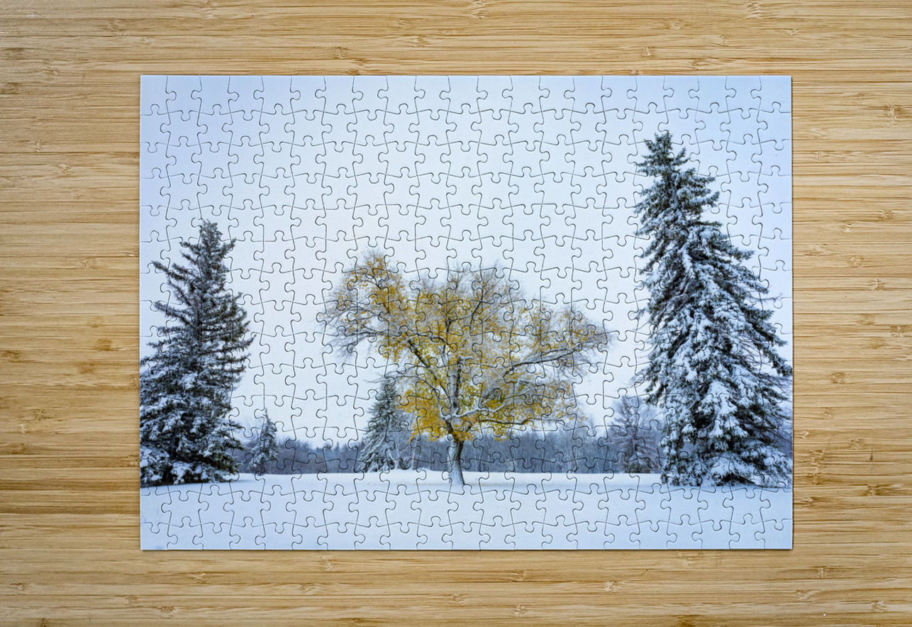 Trees Under the First Snow Marc Gilbert Photography Puzzle printing