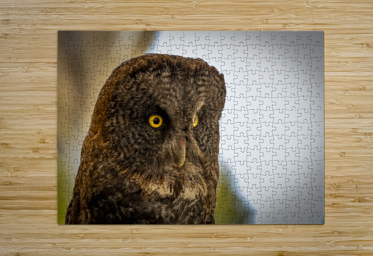 Owl Marc Gilbert Photography Puzzle printing
