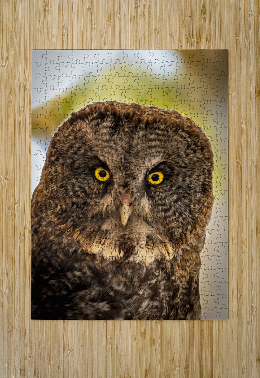 Owls Gaze Marc Gilbert Photography Puzzle printing