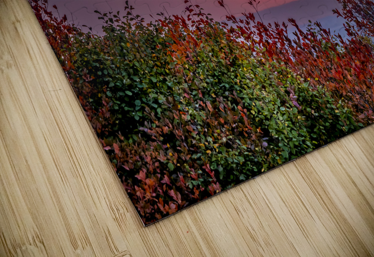 Red Sunset Marc Gilbert Photography Puzzle