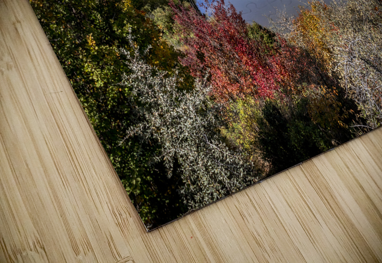 North Saskatchewan River Marc Gilbert Photography Puzzle