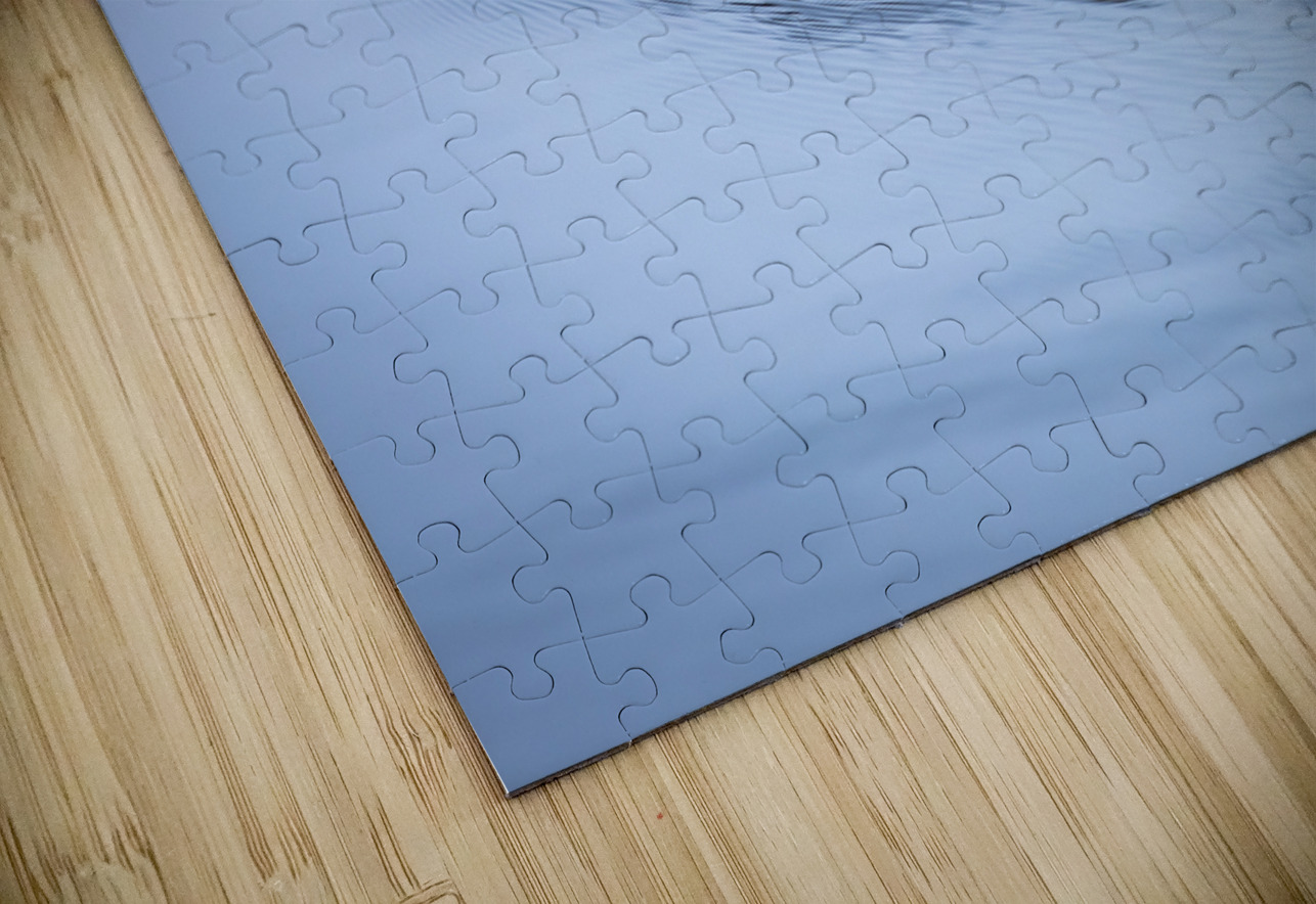 Beaver On still Waters Marc Gilbert Photography Puzzle