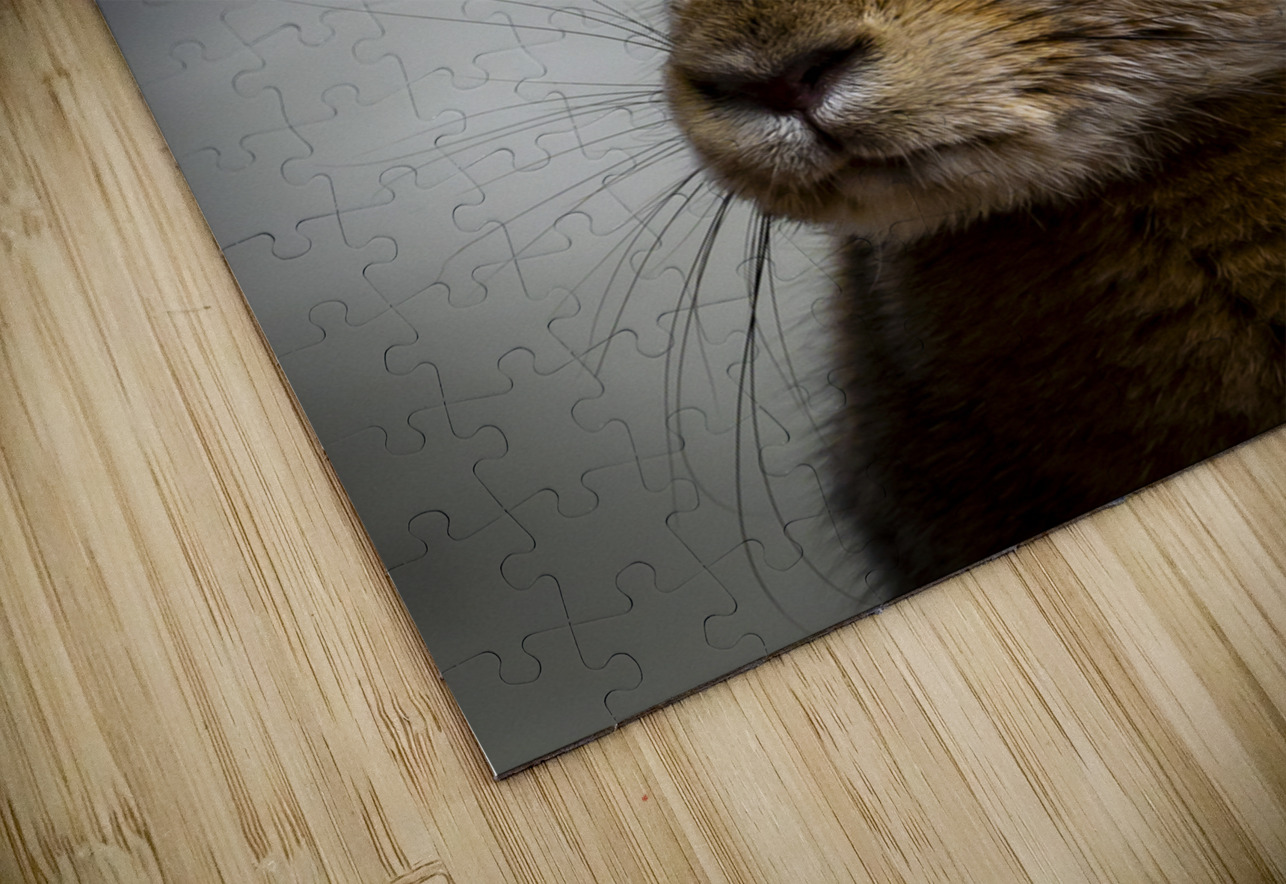 Bunny Marc Gilbert Photography Puzzle