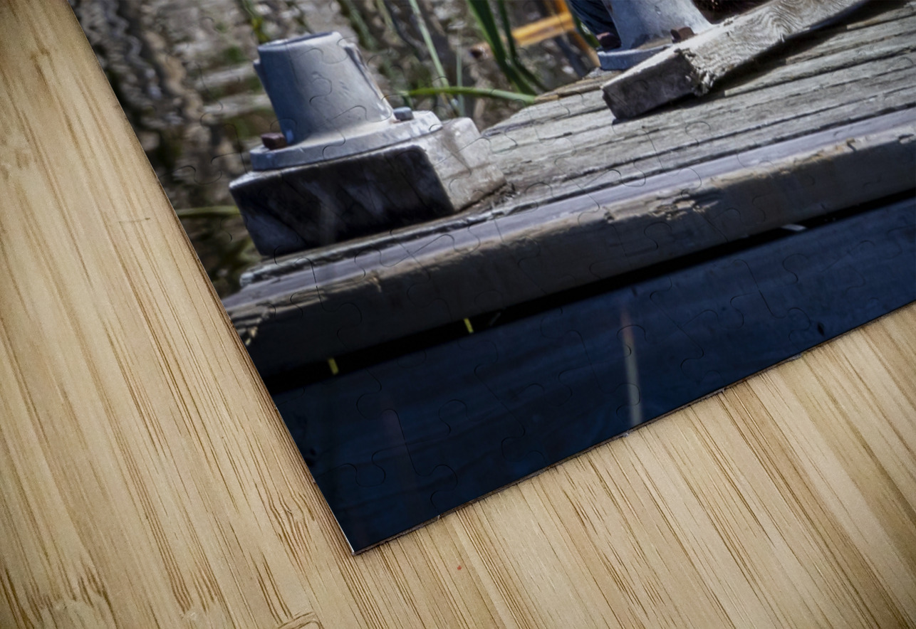 Otter Marc Gilbert Photography Puzzle