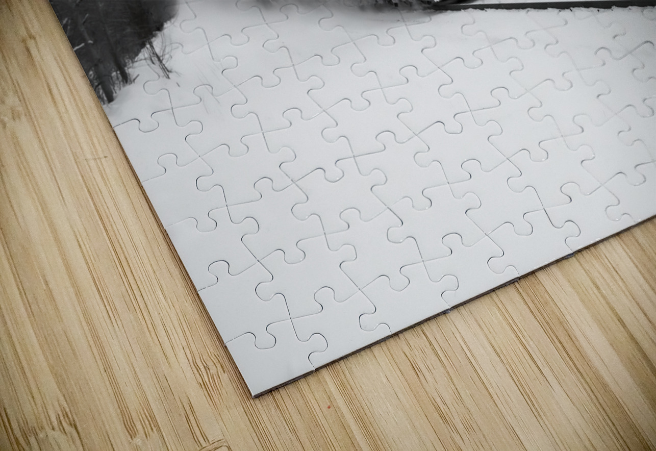 Train After Snowstorm Marc Gilbert Photography Puzzle