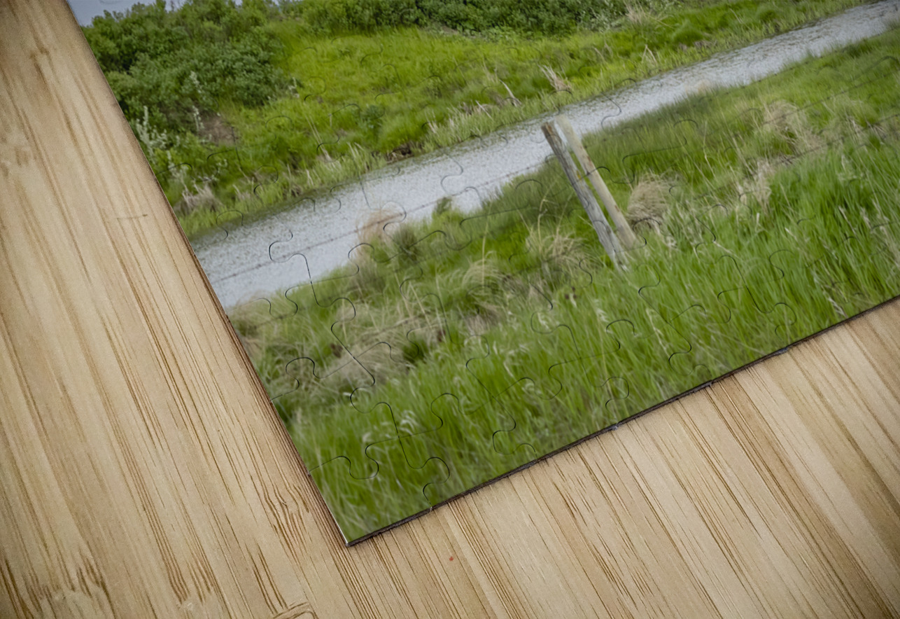 Cattle on a Hill Marc Gilbert Photography Puzzle
