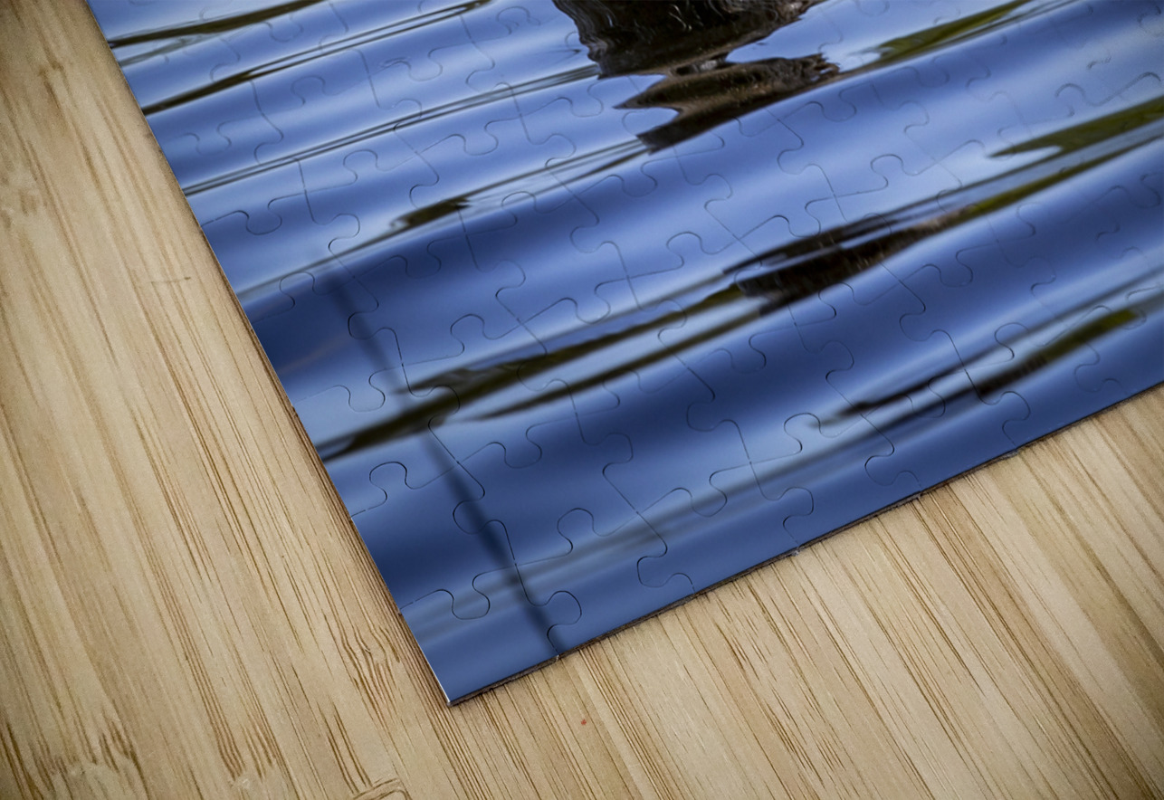 Otter Marc Gilbert Photography Puzzle