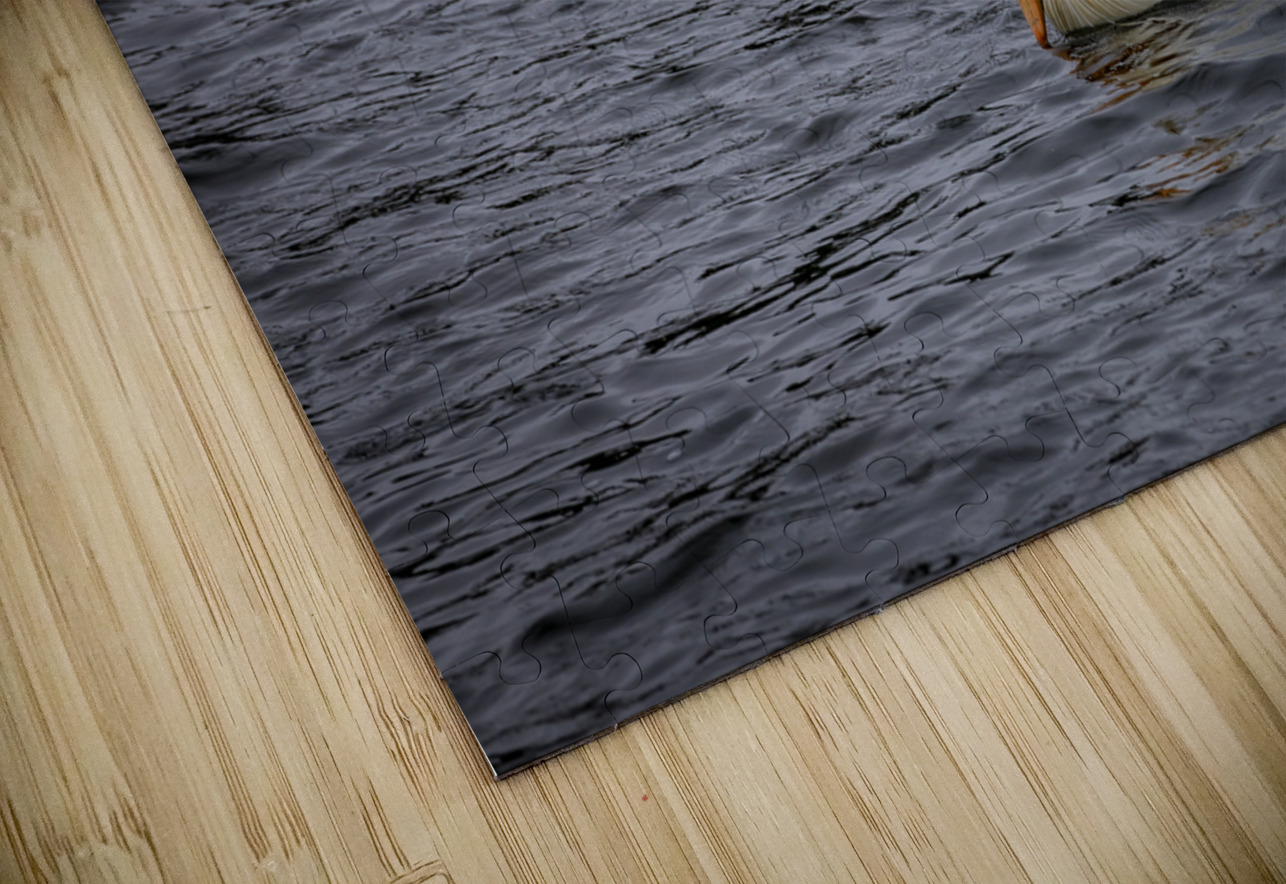 Pelicans Marc Gilbert Photography Puzzle