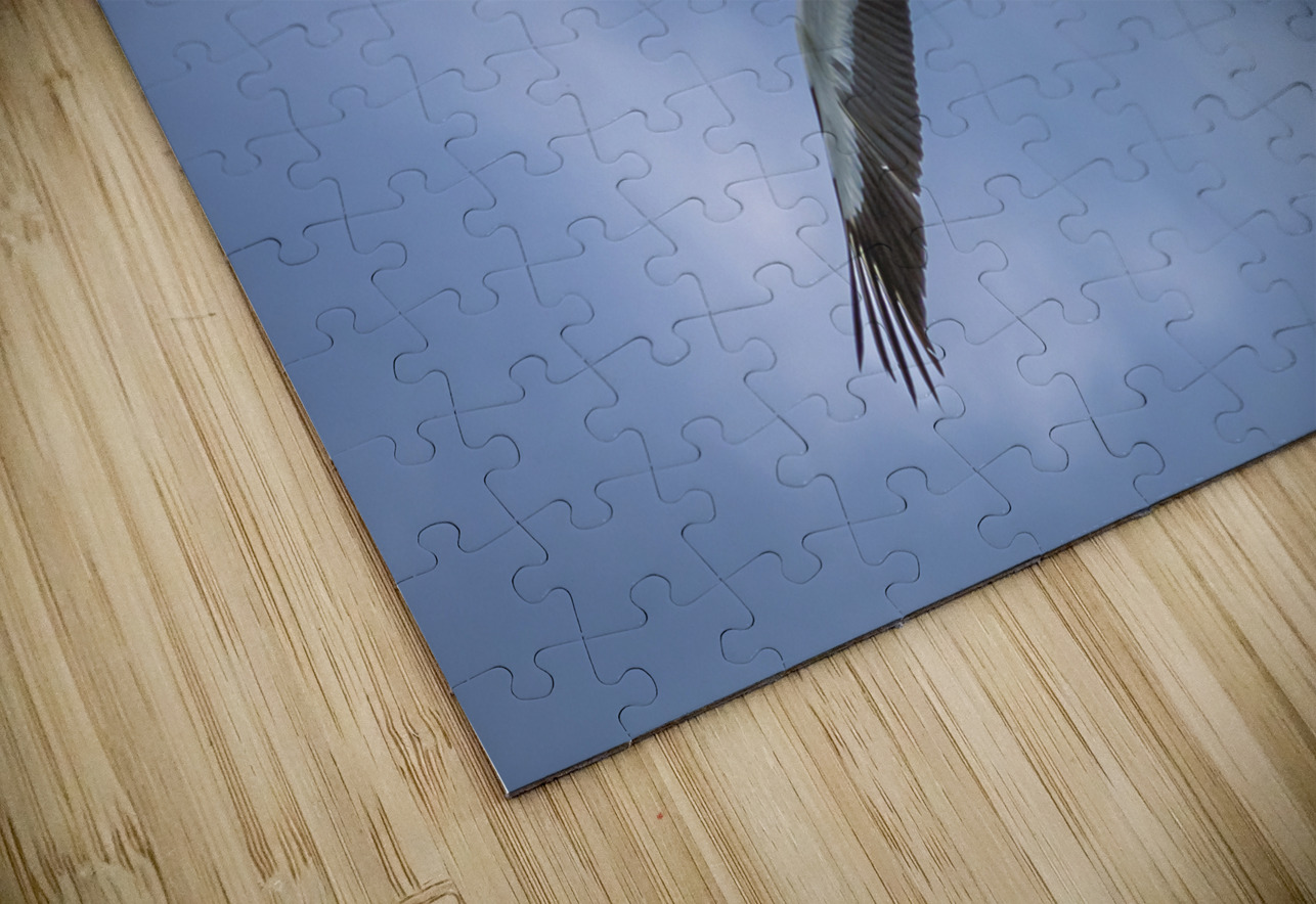 Pelican in Flight Marc Gilbert Photography Puzzle