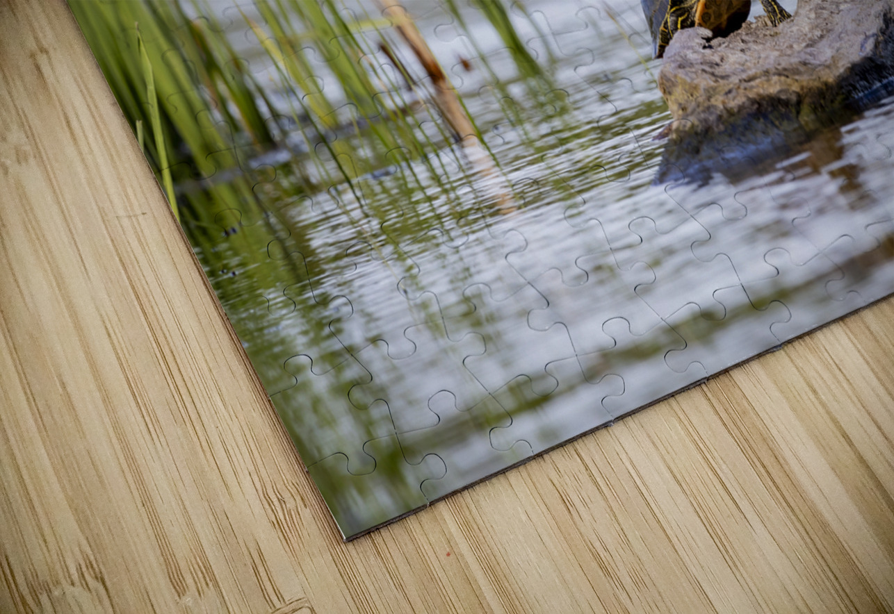 Painted Turtle Marc Gilbert Photography Puzzle