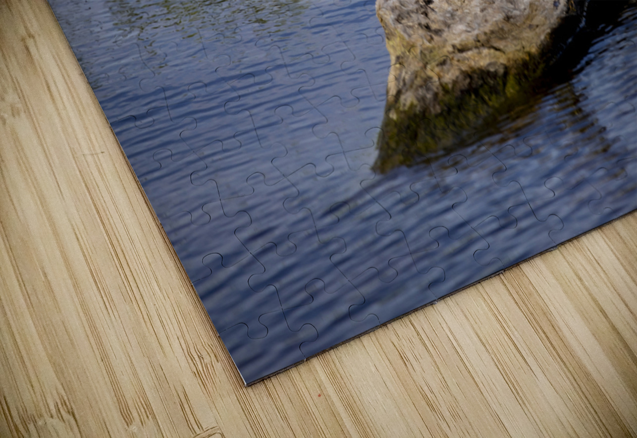 Painted Turtle Marc Gilbert Photography Puzzle