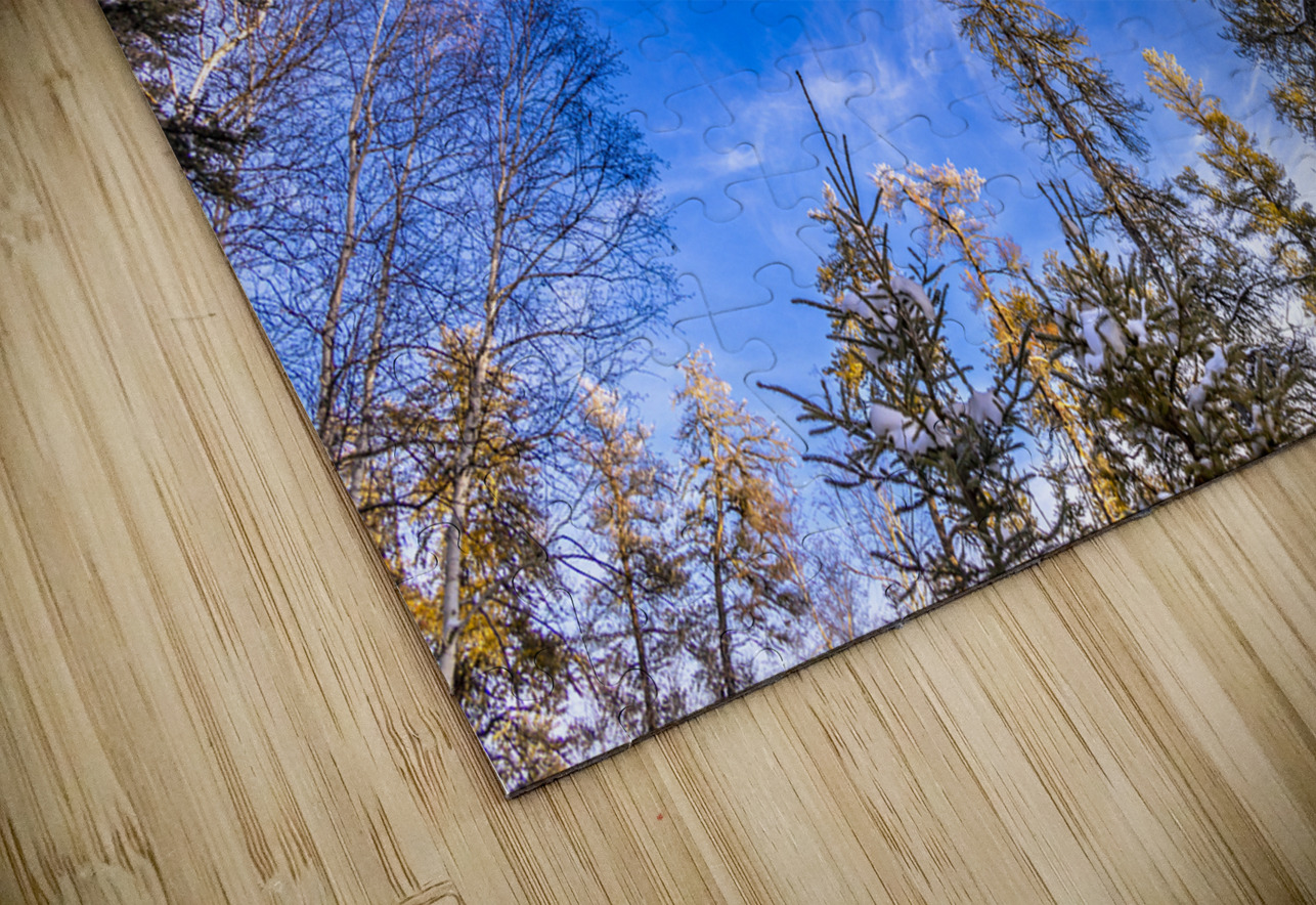 Frosted Trees Marc Gilbert Photography Puzzle