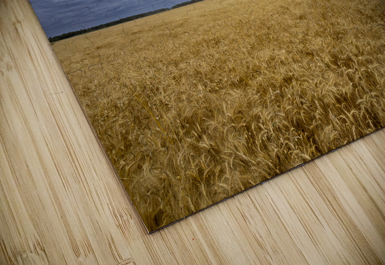 Ripe For Harvest Marc Gilbert Photography Puzzle