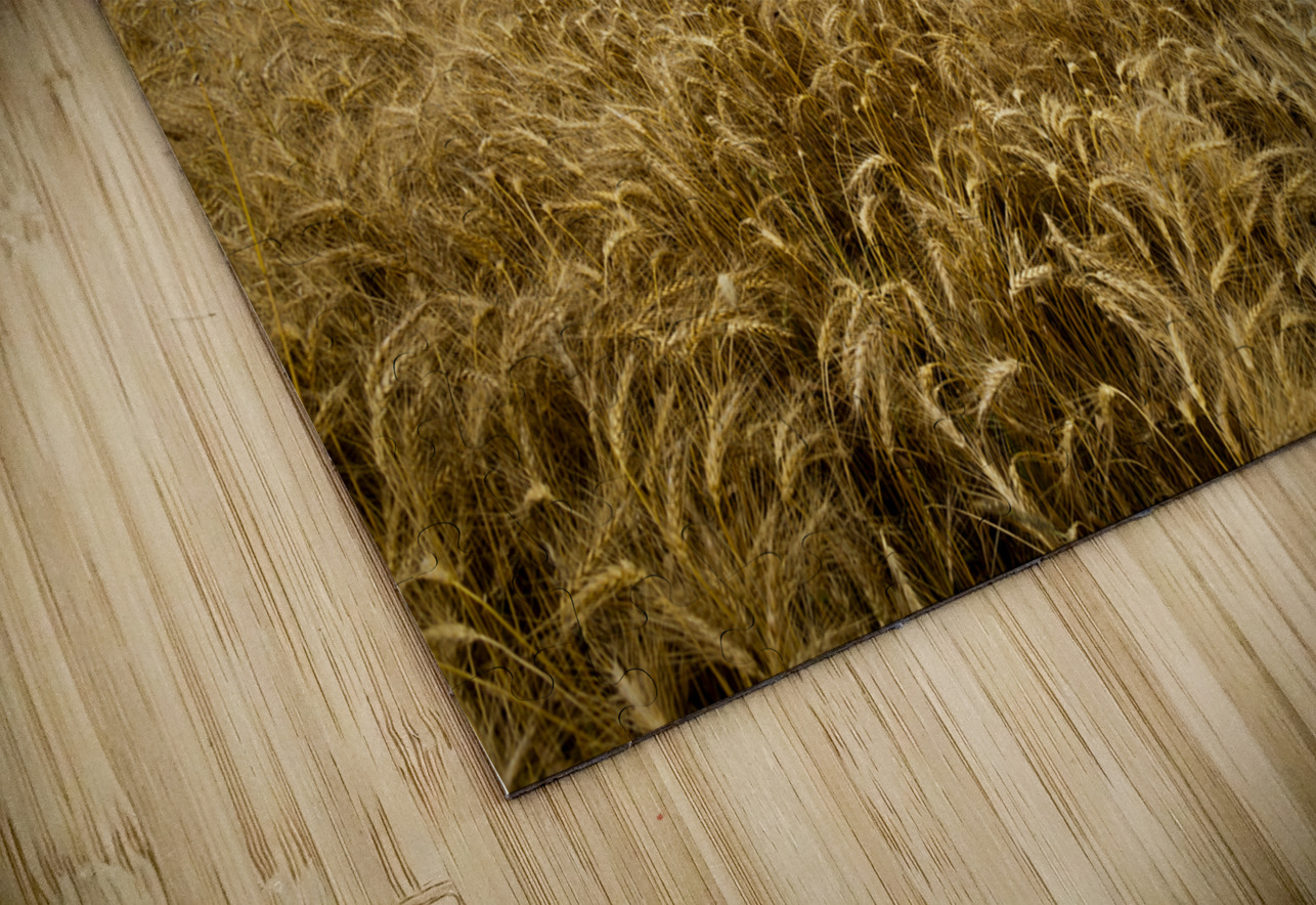 Ripe For Harvest Marc Gilbert Photography Puzzle