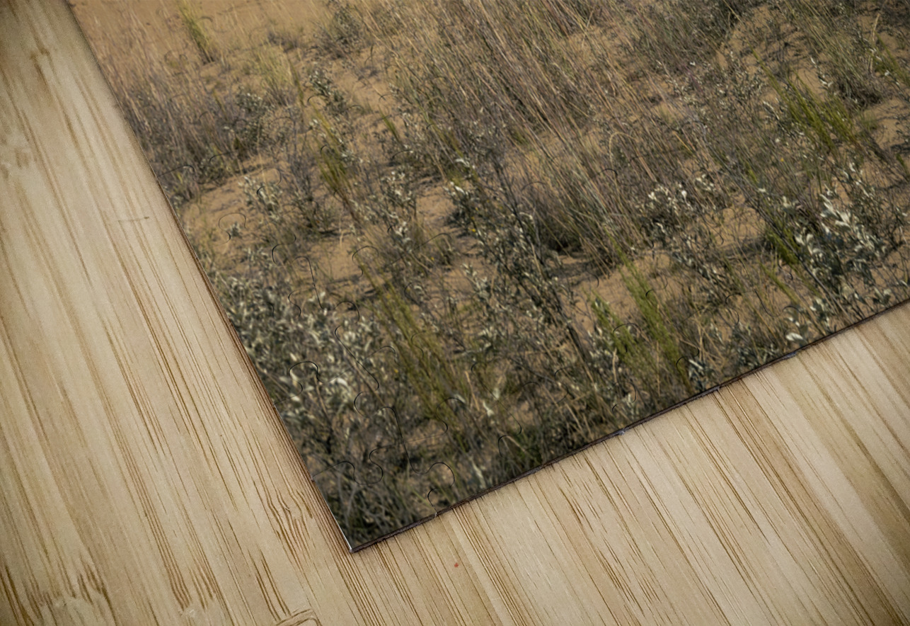 Spruce Woods Marc Gilbert Photography Puzzle