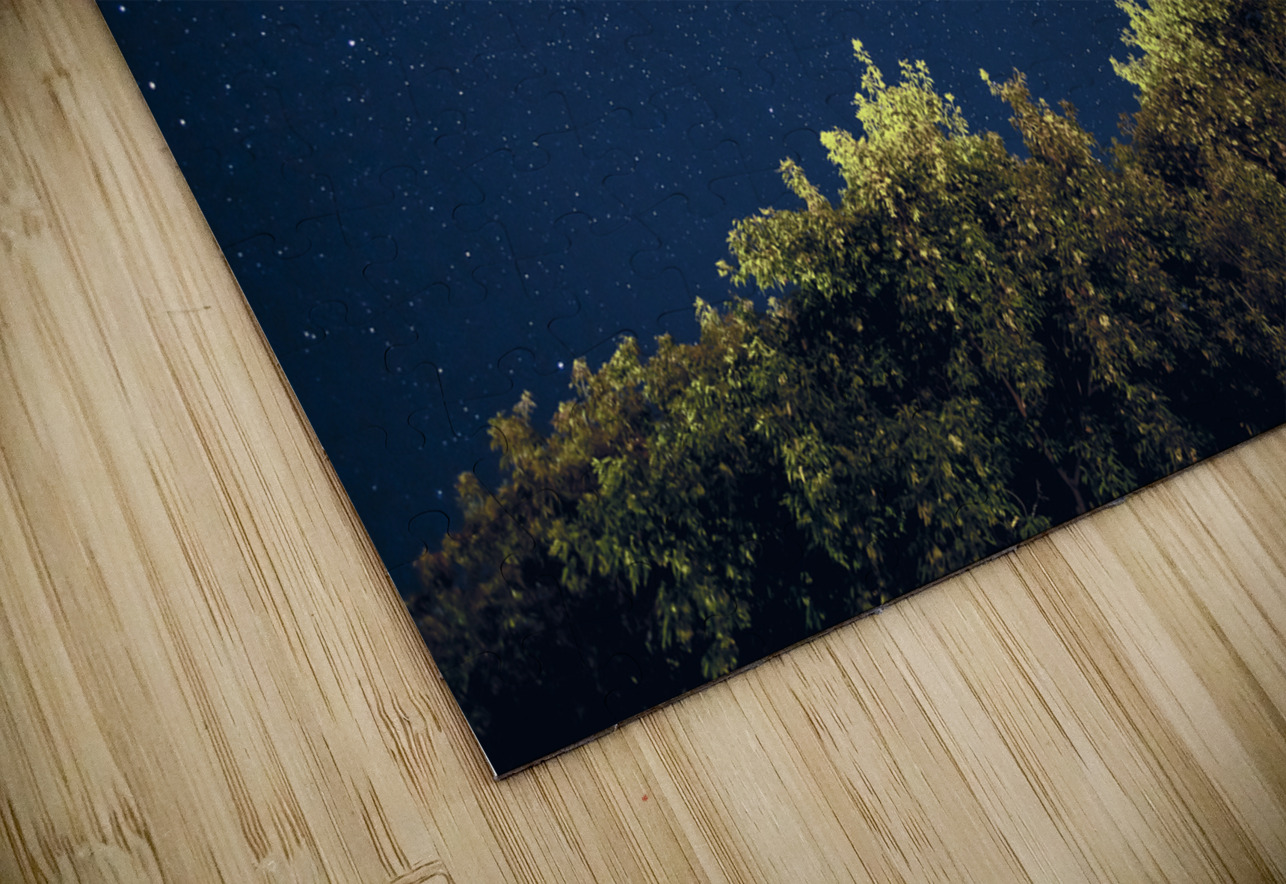 Starry Night Marc Gilbert Photography Puzzle