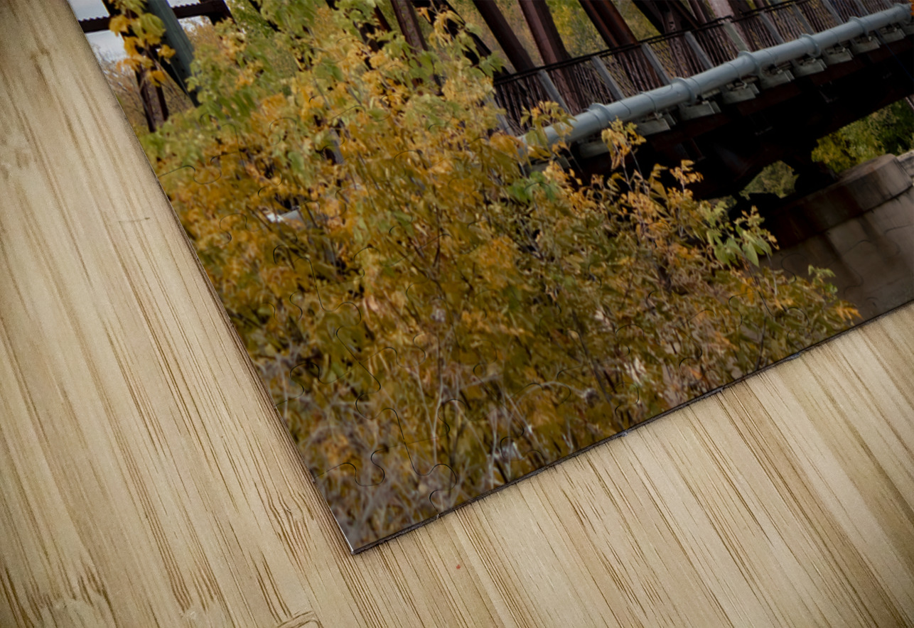 Emerson Train Bridge Marc Gilbert Photography Puzzle