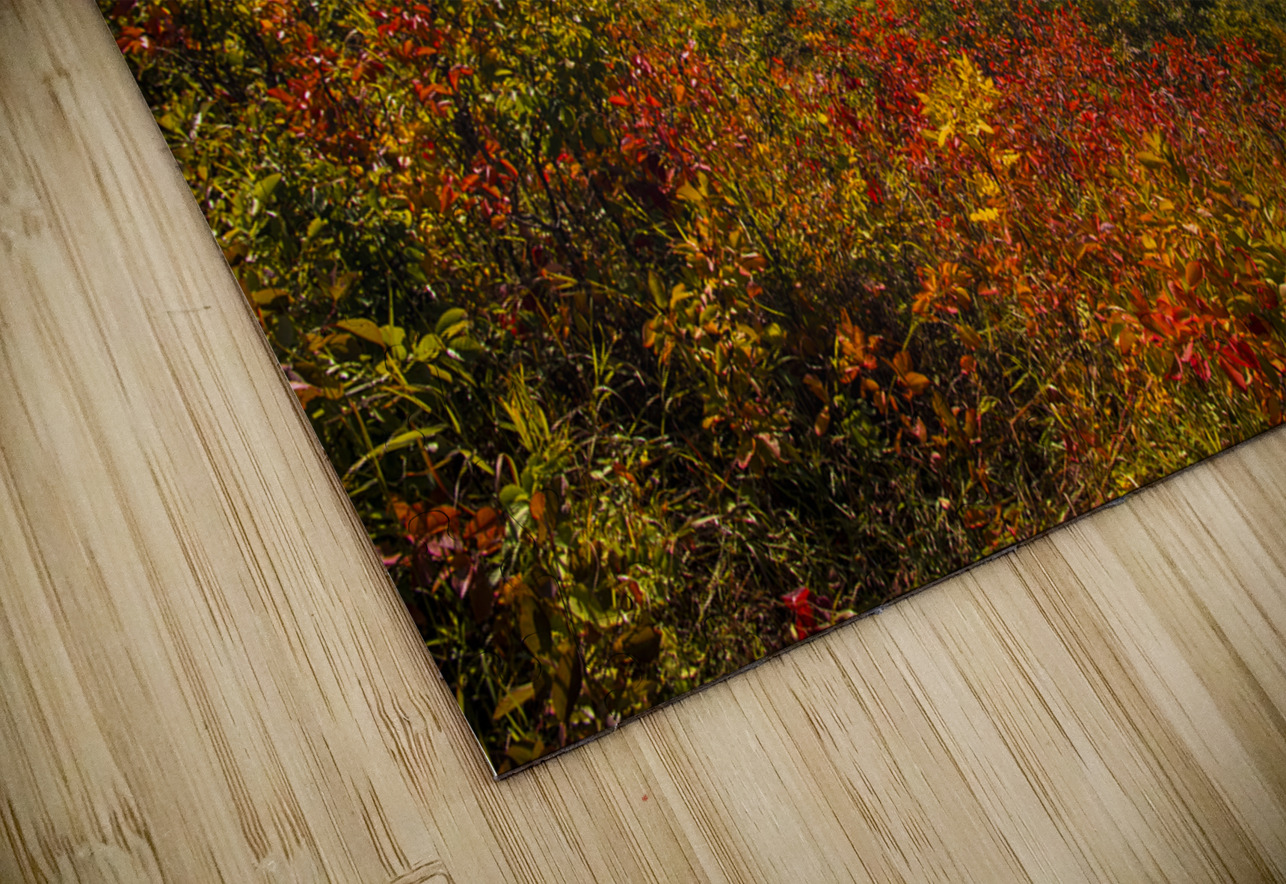 Pembina Valley Marc Gilbert Photography Puzzle