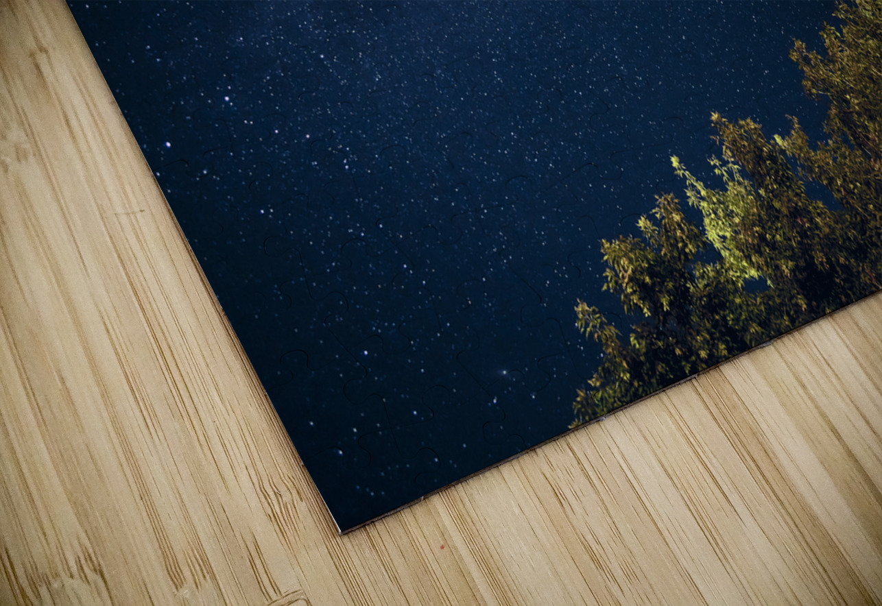 Starry Night Marc Gilbert Photography Puzzle