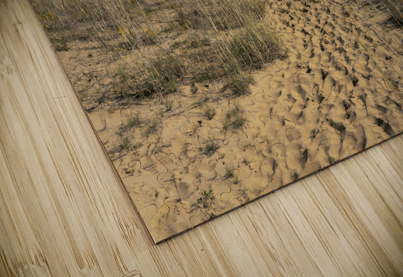 Spruce Woods Marc Gilbert Photography Puzzle