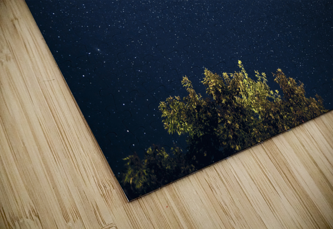 Starry Night Marc Gilbert Photography Puzzle