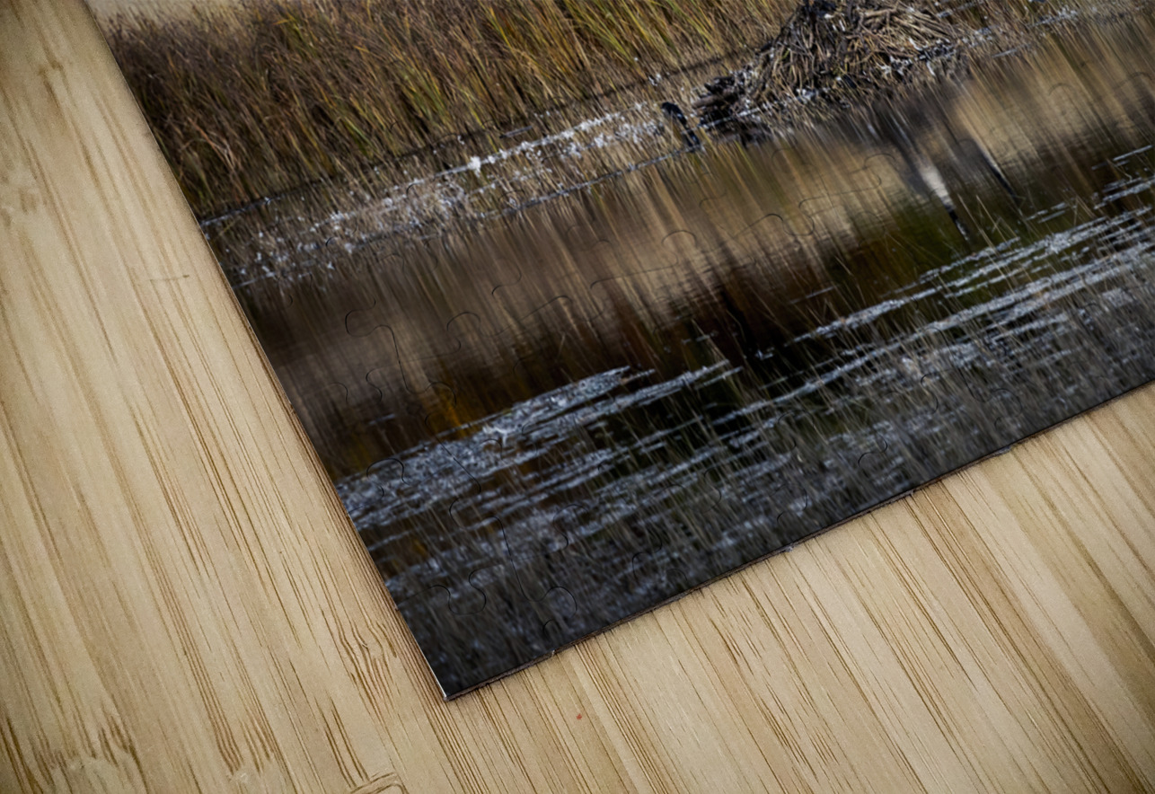 Geese Atop Beaver Hut Marc Gilbert Photography Puzzle